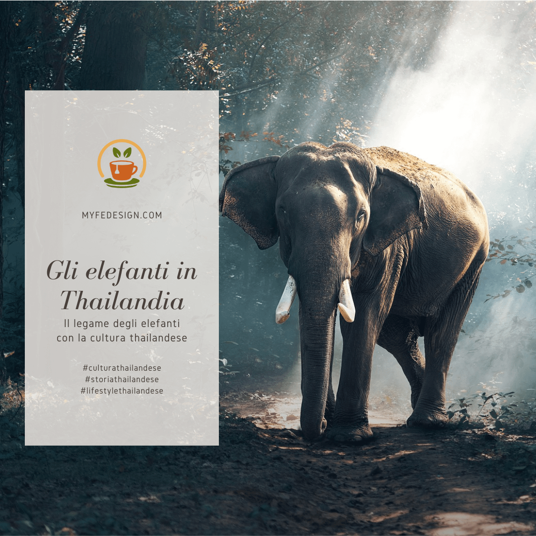 elefante nella foresta