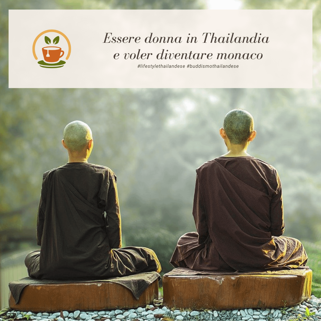 Donne monache, con vesti viola scuro, in meditazione sedute su dei ceppi d'albero tagliati