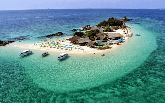 Koh Khai Nok, l'isola dei gatti thailandese