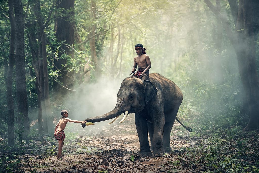 riding elephant in thai costume