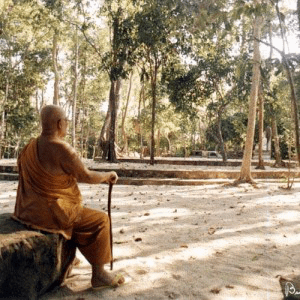 Il Wat Suan Mokkh a Suratthani