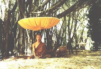 La leggenda thailandese della Suea Saming