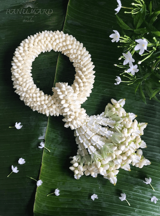 ghirlanda di fiori di gelsomini realizzata per la festa della mamma in Thailandia