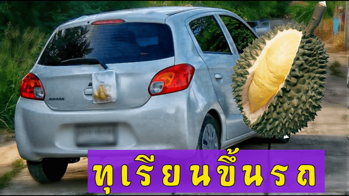 Macchina con sacchetto con Durian legato al tergicristalli posteriore