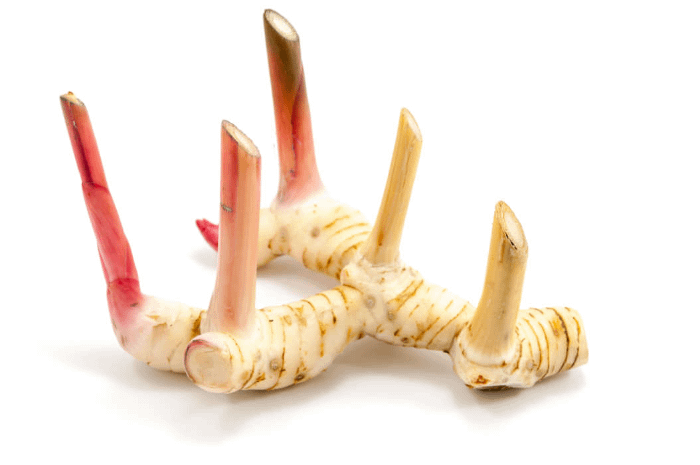 foto di un galanga intero