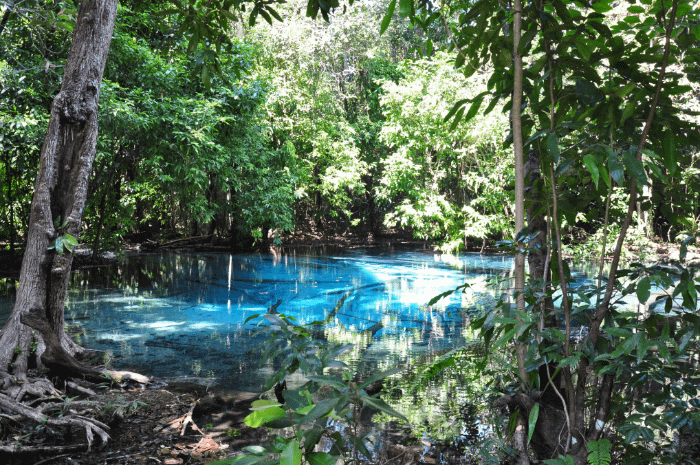 Sa Nam Phut (Blue Pool) a Krabi