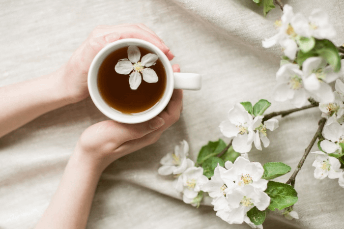 tazza di tè con fiore tenuto da mani di donna su uno sfondo con fiori di melo bianchi