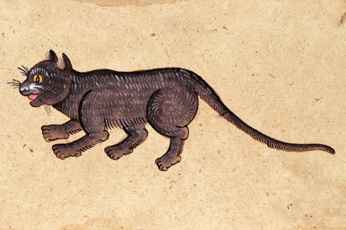 dipinto gatto thailandese dal libro Tamra Meaw