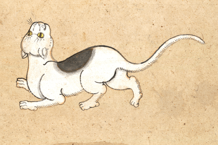 dipinto gatto thailandese dal libro Tamra Meaw