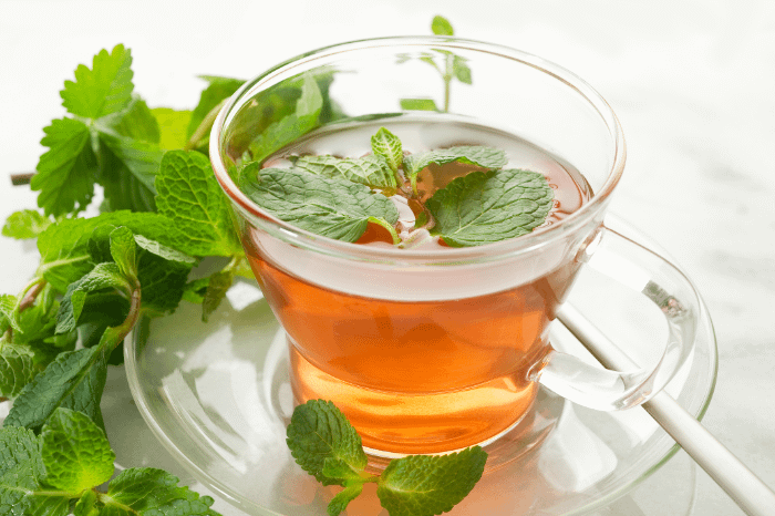 mint tea by MarcoMayer-EnvatoElements