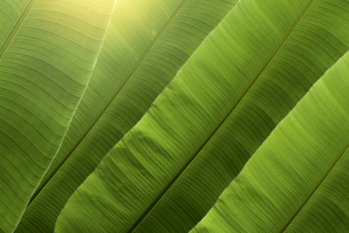 Bagno alla turca o alla thailandese?