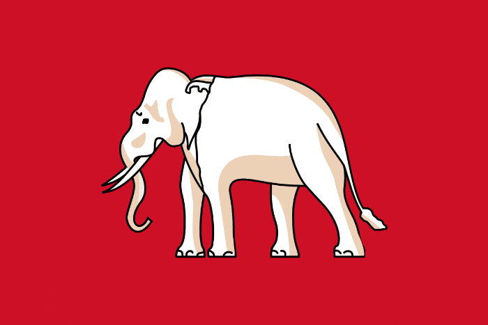 Gli elefanti in Thailandia