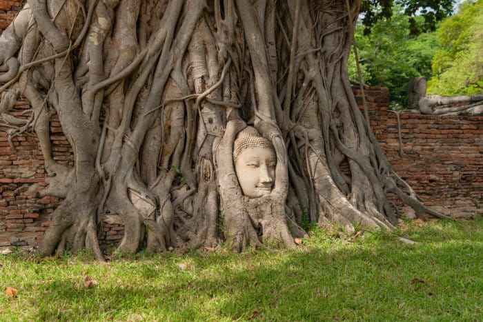Ayutthaya, l'antica capitale thailandese