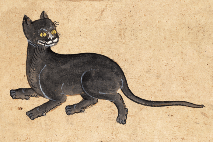 dipinto gatto thailandese dal libro Tamra Meaw