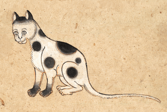 dipinto gatto thailandese dal libro Tamra Meaw