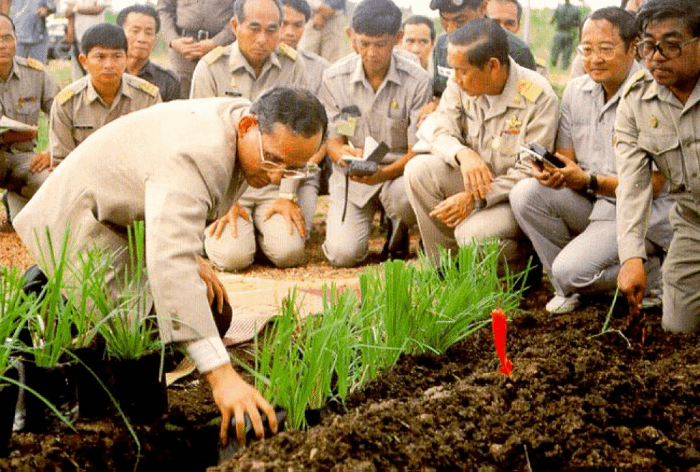In Loving Memory: ricordando re Rama IX, Bhumibol Adulyadej