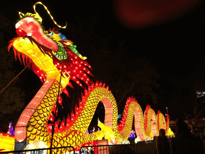 grande lanterna a forma di drago cinese
