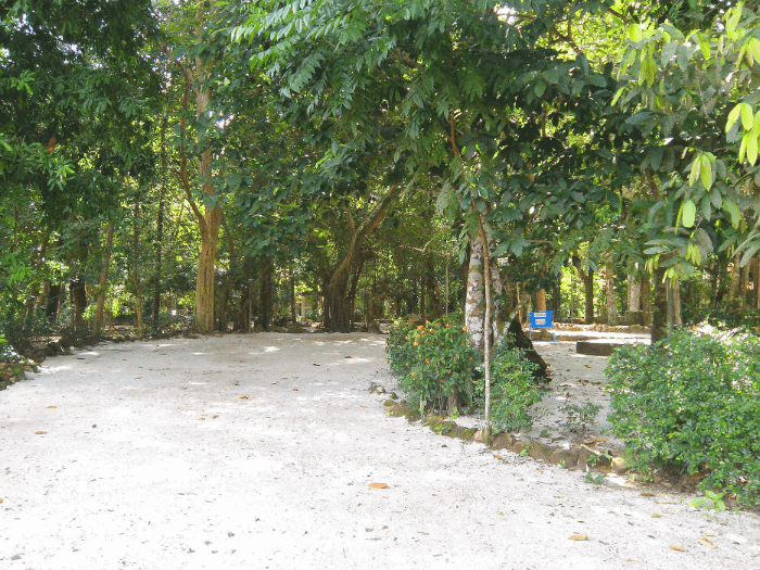 Il Wat Suan Mokkh a Suratthani