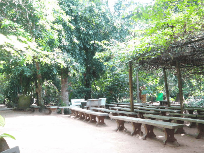Il Wat Suan Mokkh a Suratthani