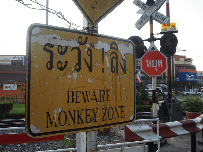 Cartello thailandese "attenzione alle scimmie"