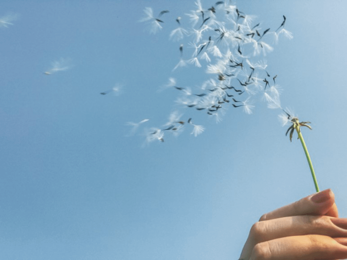 Kaya e Sankhara nel buddismo thailandese