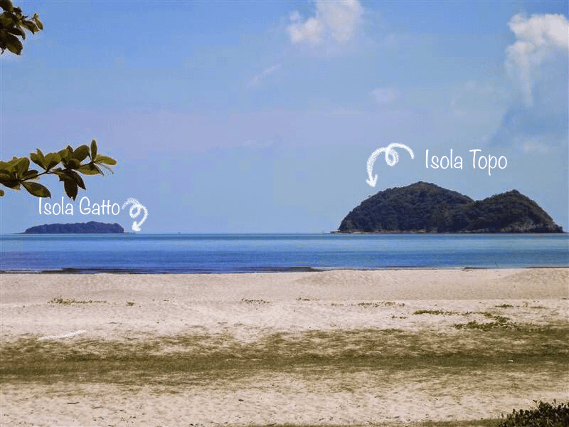 Infografica delle due isole con specificato qual è l'isola gatto e qual è l'isola topo